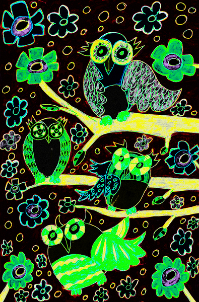 Abstract Vivid Owls Print