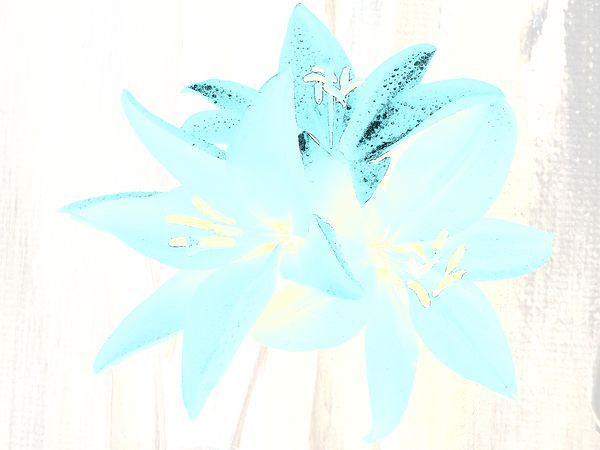 Abstract  Distressed Trio of Lime Lilies Print