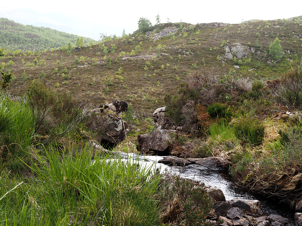 Scottish Highlands Nature  Landscape                                                                                                                      Print
