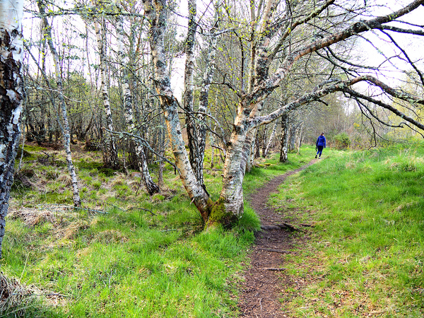  Spring Hike Through the Scottish Highlands                                                                                                                     Print