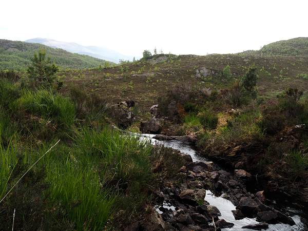  Scottish Highlands Landscape Stream                                                                                                                     Print