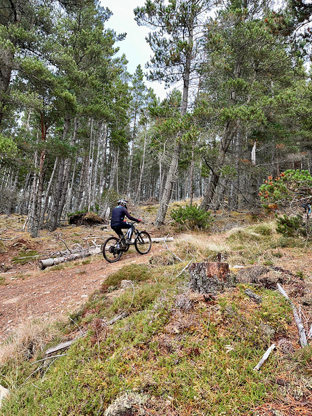 Scenes from the Trail- Onwards and Upwards Through the Scottish Highlands Print