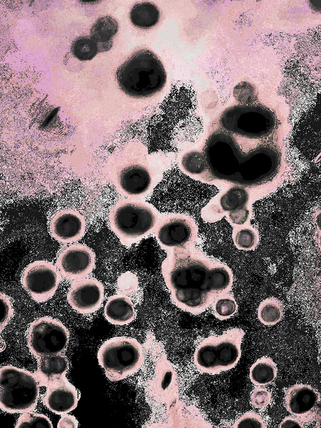 Abstract Circular Shapes in Pink and Black Print