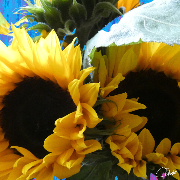 Vibrant Summer Sunflowers Print