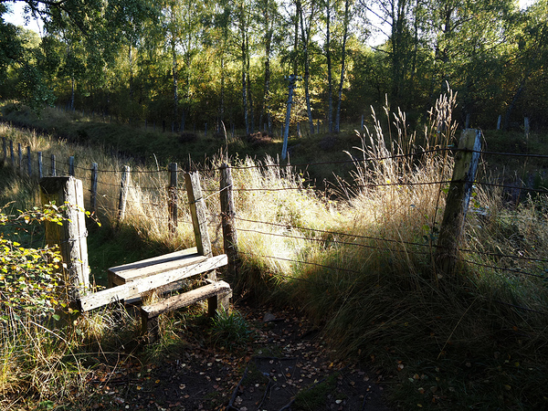 Stile in the Scottish Highlands                                                                                                                      Print