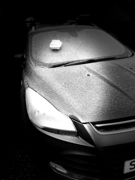 Everyday Lifes Moments  Random Placement   Print