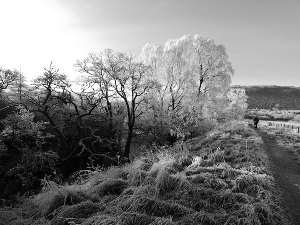 Frosty Morning in the Scottish Highlands Print