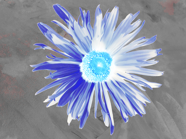 Abstract Luminescent Daisy Flower Print