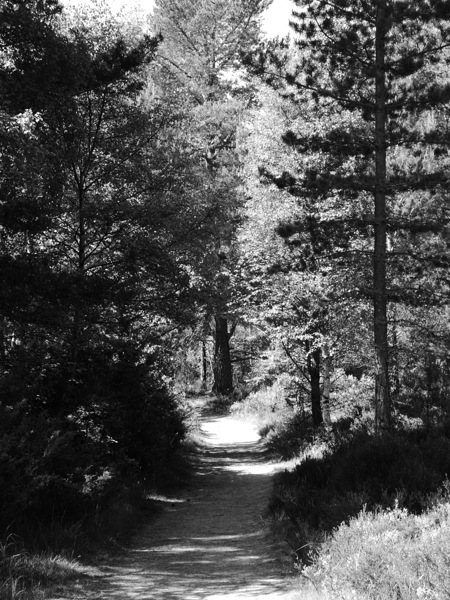 Summer Monochrome Walk through the Scottish Highlands Print