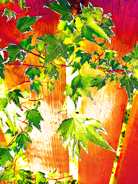 Abstract Vibrant Ivy  Print