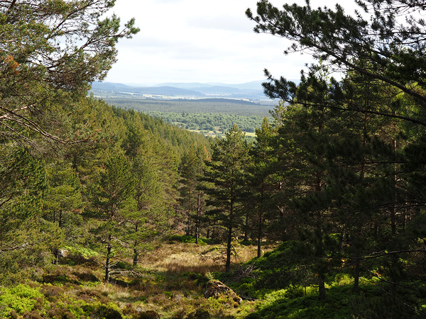  Scottish Highlands Landscape View                                                                                                                     Print