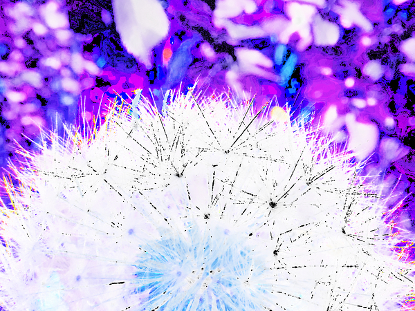 Abstract Surreal Dandelion Print