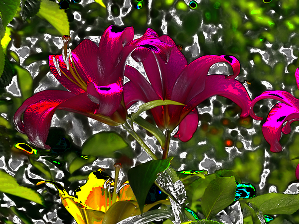  Abstract Vivid Lily Flowers                                                                                                                       Print