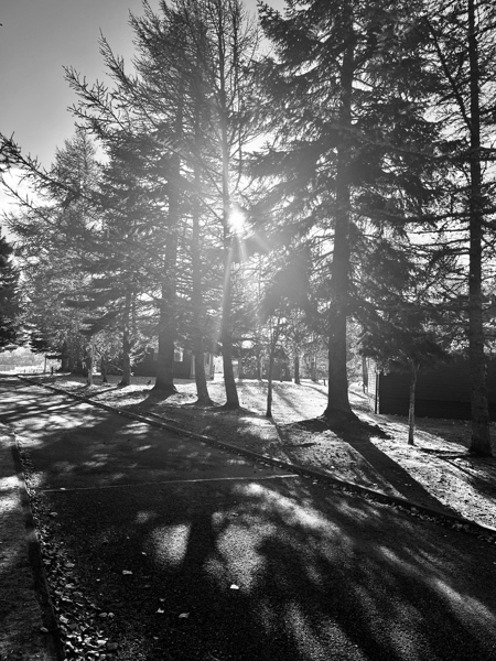 Everyday Lifes Moments- Black and White Contrast  Print