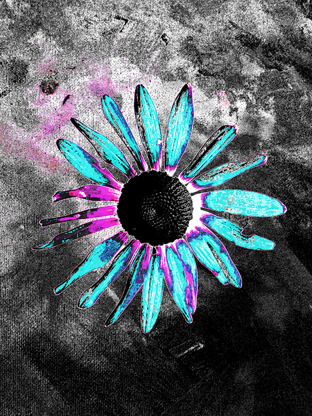 Abstract Neon Blue Daisy Print