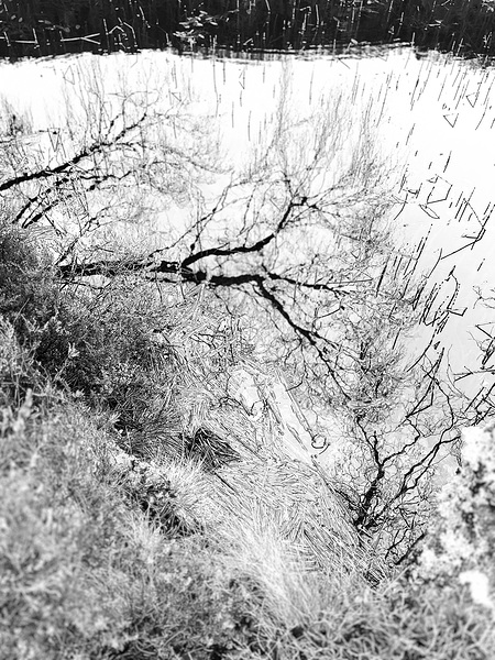 Scenes from the Trail- Monochrome Winter Lochan Reflections Print