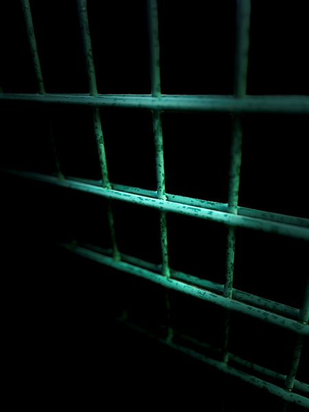 Everyday Life s Moments - The Fence  Print