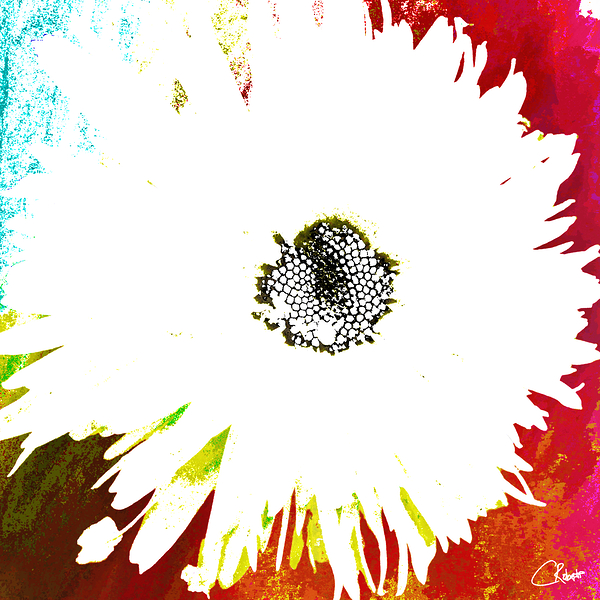 Abstract White Daisy on a Coloured Background  Print