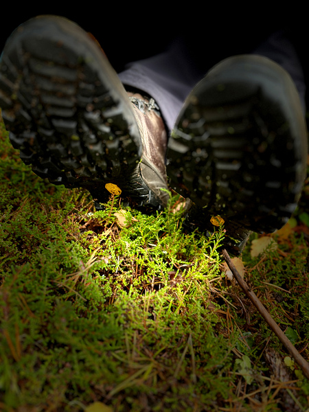 Scenes from the Trail- Rest Print