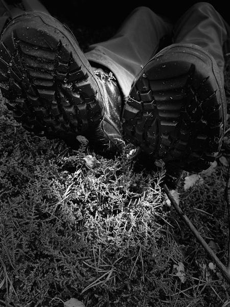 Scenes from the Trail- Resting  Print