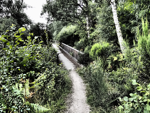  Summers Bridge through the Scottish Highlands                                                                                                                     Print