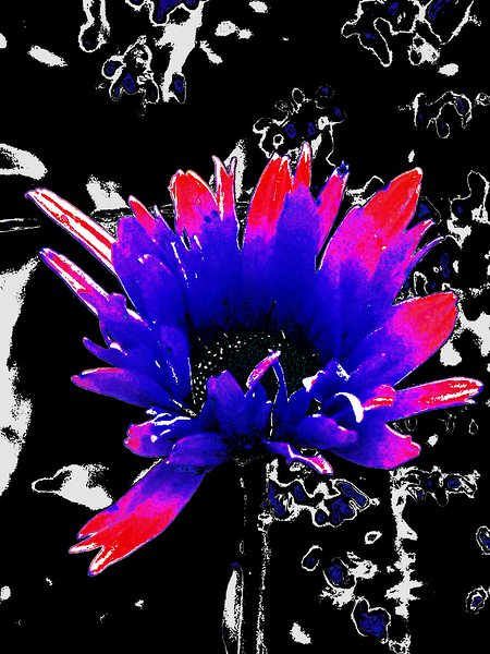 Abstract Darker Daisy Print