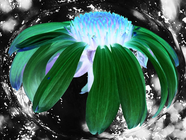  Abstract Green Cone Flower Print