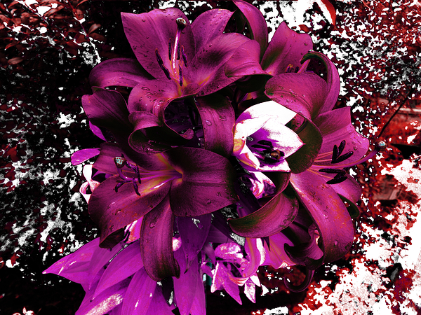 Abstract Lily Bouquet Print