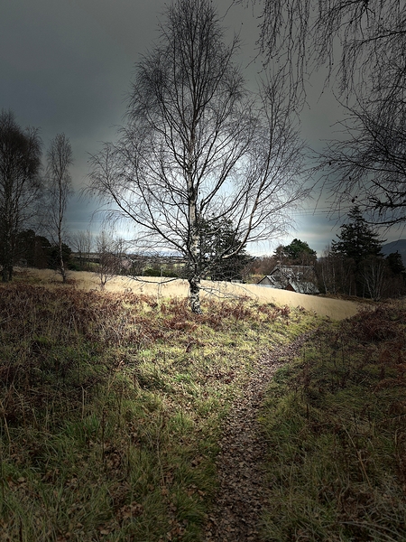 Scenes from the Trail- Scottish Countryside Print