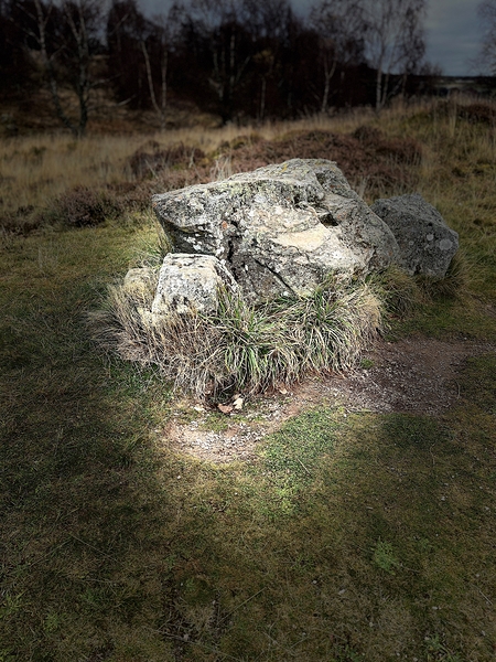 Scenes from the Trail- Boulder Seat Print