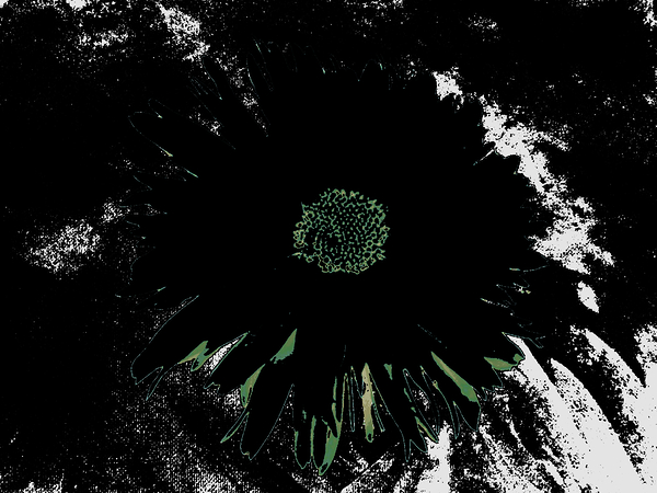 Abstract Dark Daisy on a Dark Abstract Background Print