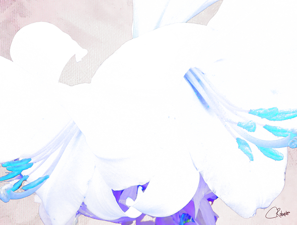 Abstract Pale Lilies Print