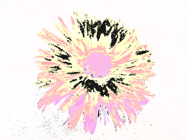 Abstract Vibrant Daisy Bloom Print