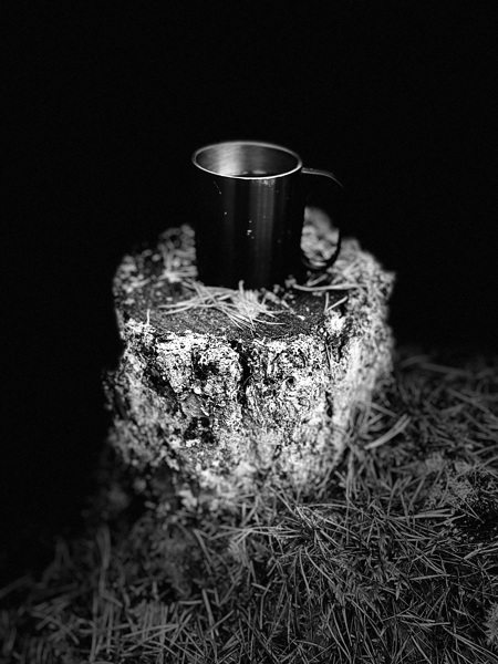 Scenes from the Trail- Mug in Black and White Print