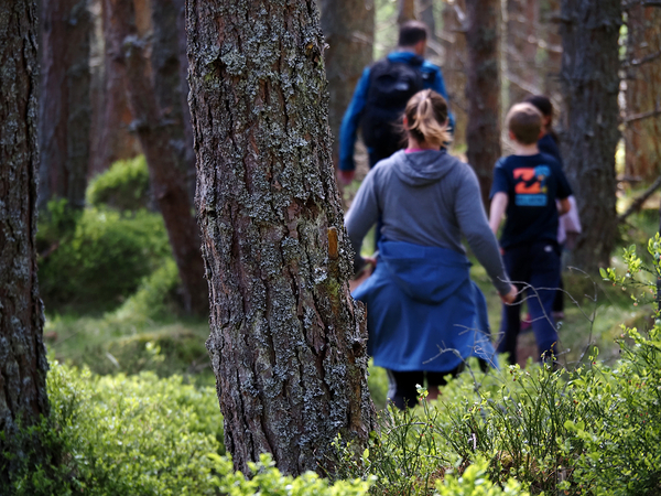  Running the Scottish Highlands Trail                                                                                                Print