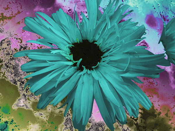 Abstract Teal Daisy Print