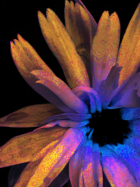 Abstract Daisy in Yellow Blue and Pink Print