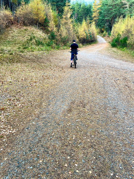 Scenes from the Trail- Decisions Print
