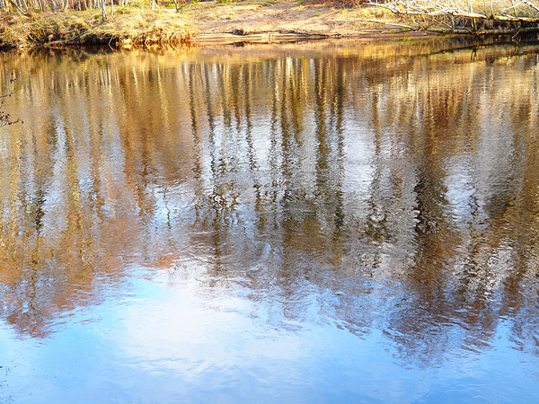 River Speys Spring Reflections                                                                                                                  Print