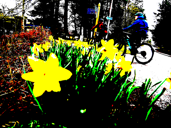  Abstract Cycling in the Scottish Highlands                                                                                                                     Print