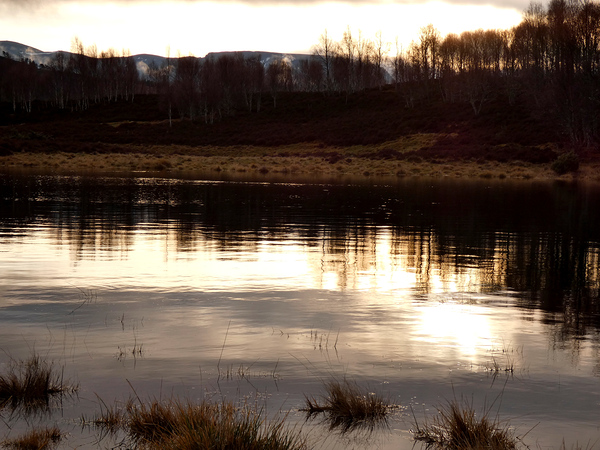 Winters Sunlight Reflection Print
