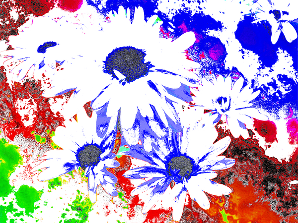 Abstract Daises on a Coloured Splatter Background Print