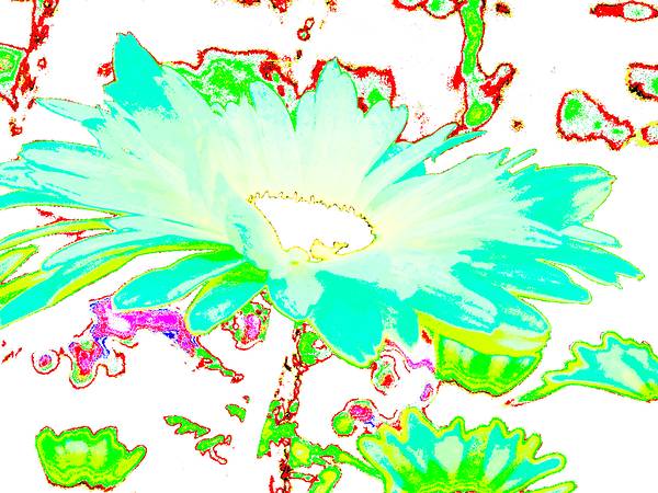 Abstract Colourful Psychedelic Daises Print