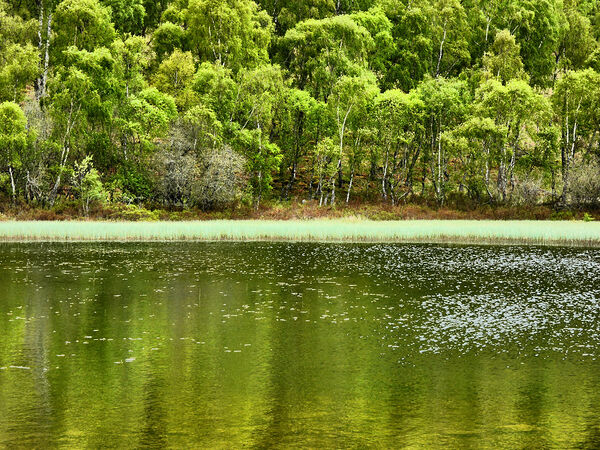 Summer Lochan in the Scottish Highlands Print
