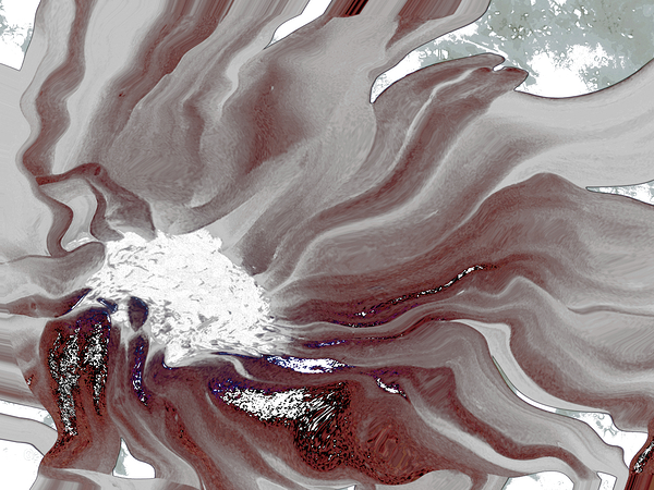 Abstract White and Grey Flowing Daisy Flower  Print