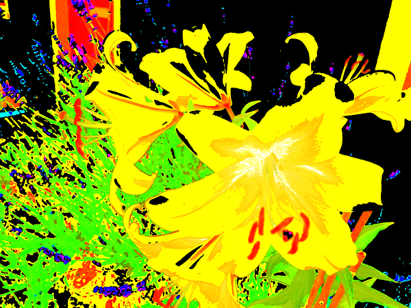   Vibrant Abstract Lilies                                                                                                                    Print