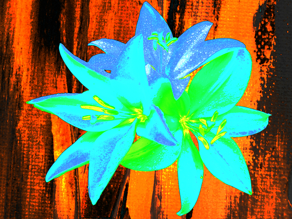 Abstract Vibrant Neon  Trio of Lilies Print