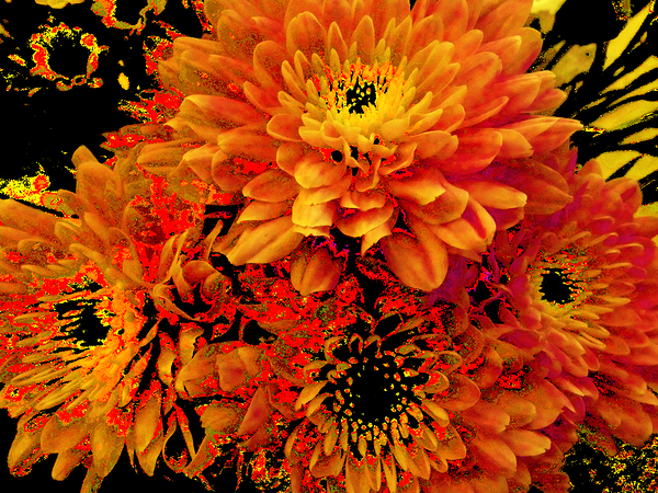 Abstract Orange and Yellow Chrysanthemums  Print