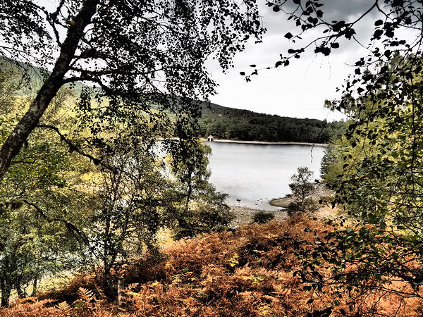 Loch Vaa Autumnal View                                                                                                                      Print