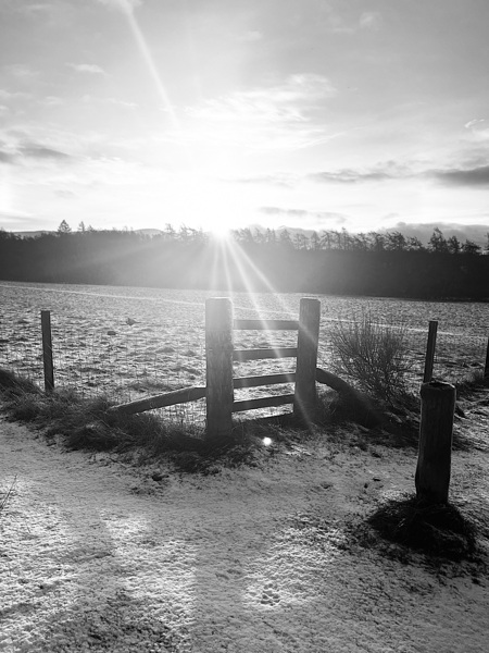 Winters Sunshine for the Scottish Higlands    Print